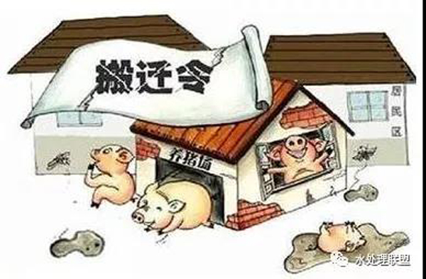 養(yǎng)殖場收到環(huán)保整改通知書該怎么辦？關于畜牧養(yǎng)殖的環(huán)保法律
